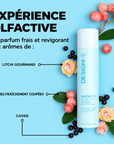 DesignMe | QuickieMe | Shampoing Sec - 53 Karat