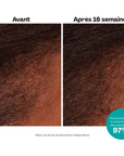 Moroccanoil | Scalp | Tonique Revitalisant Cuir Chevelu - 53 Karat