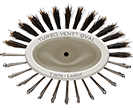 Brosse 100% sanglier Turbo Vent Combo Oval Twin Collection - Olivia Garden - 53 Karat