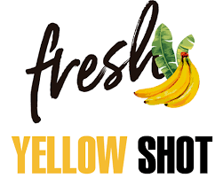 SALERM - Biokera Fresh Shampoing Yellow Shot - 53 Karat