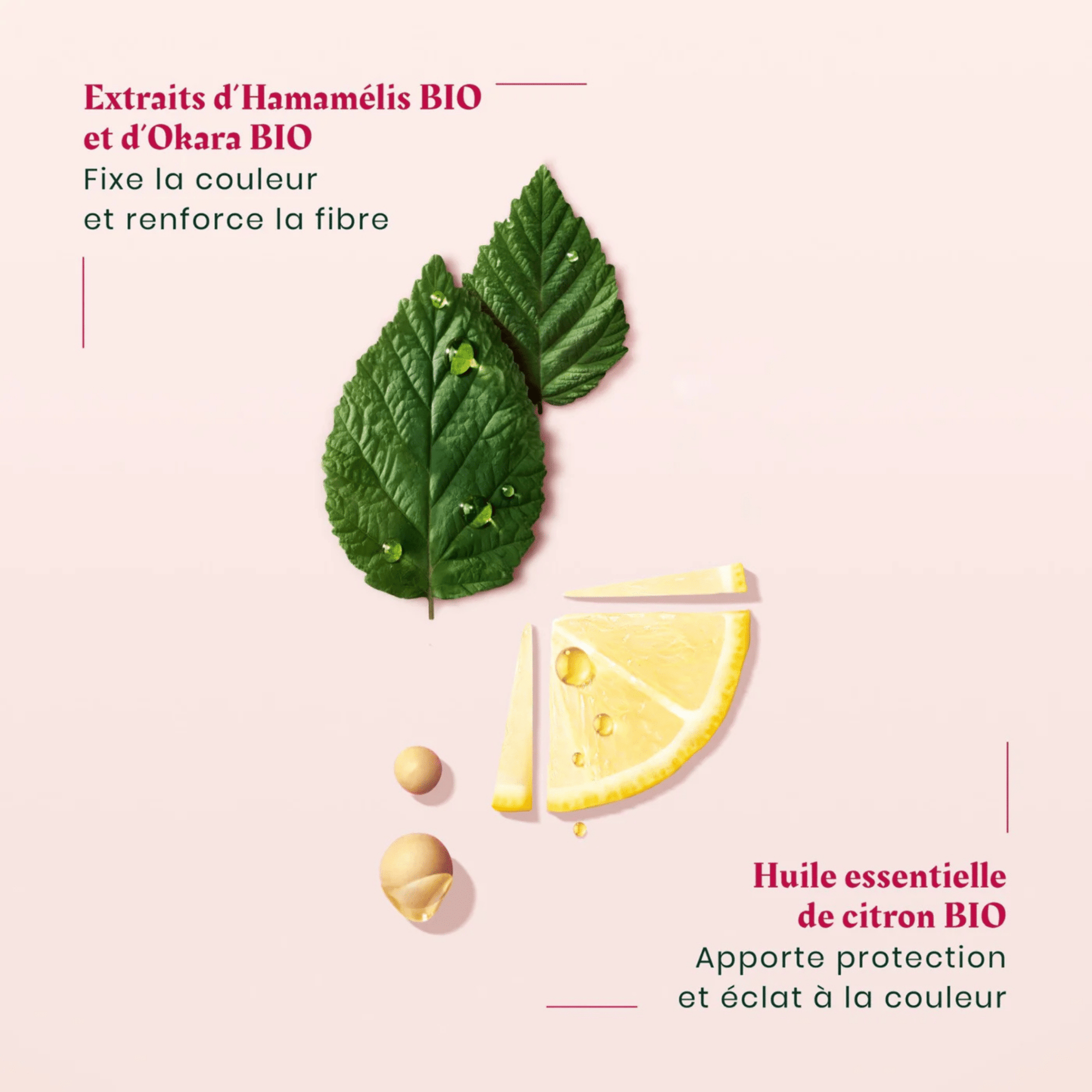 René Furterer | Coffret des Fêtes | Color Glow - 53 Karat