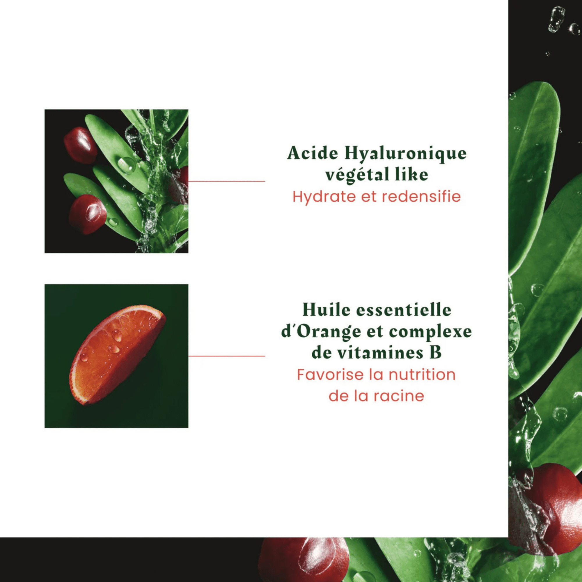 René Furterer | Coffret des Fêtes | Tonucia - 53 Karat