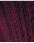 coloration Schwarzkopf igora color 10 - 53 Karat
