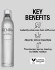 KENRA - Kenra Volume Dry Shampoo - 53 Karat